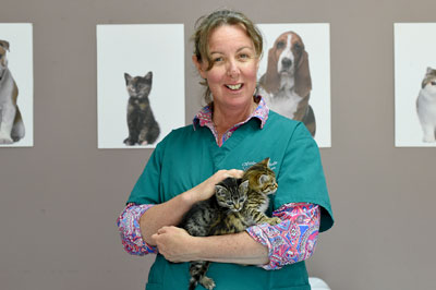 Locum Veterinarian